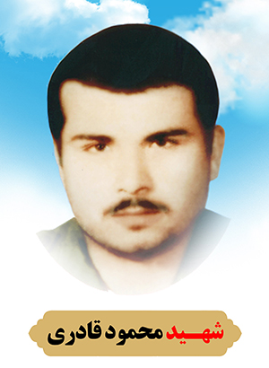 تصویر شهید محمود قادری